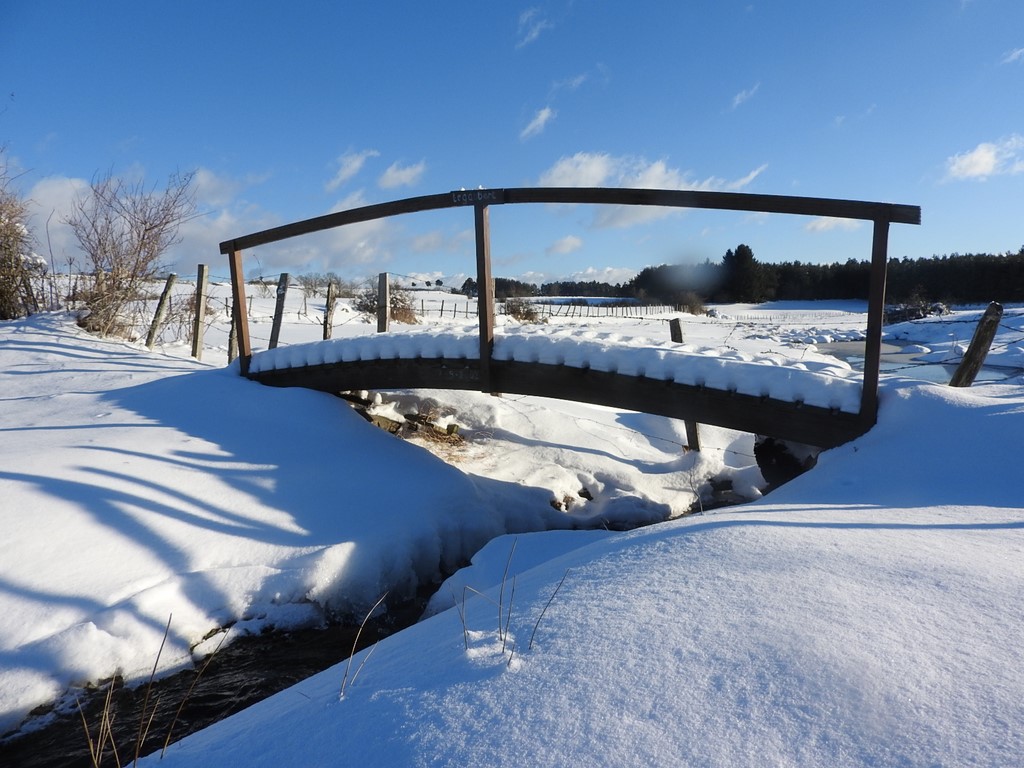 le gaubert neige